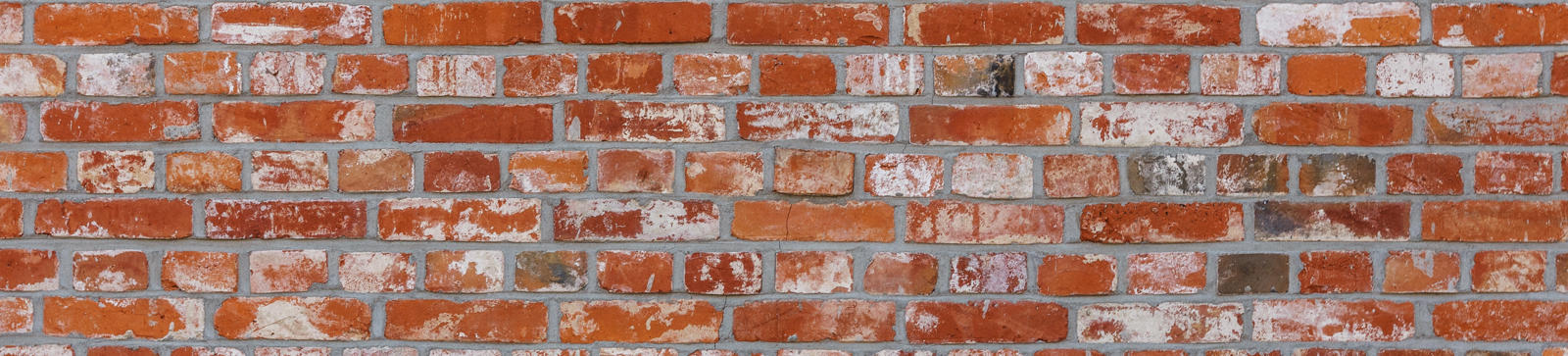 Brick Wall 2022 12 15 21 48 50 Utc