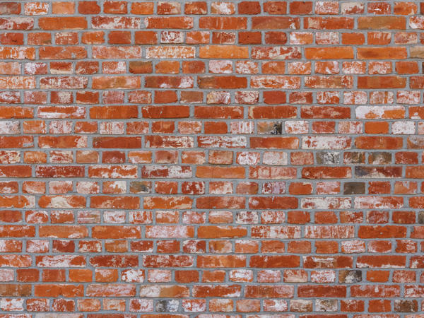 Brick Wall 2022 12 15 21 48 50 Utc